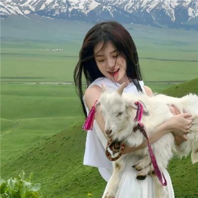 宝莲灯2005 在线观看